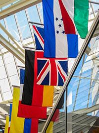 Canada Legalization Services has long-standing working relations with foreign embassies in the USA